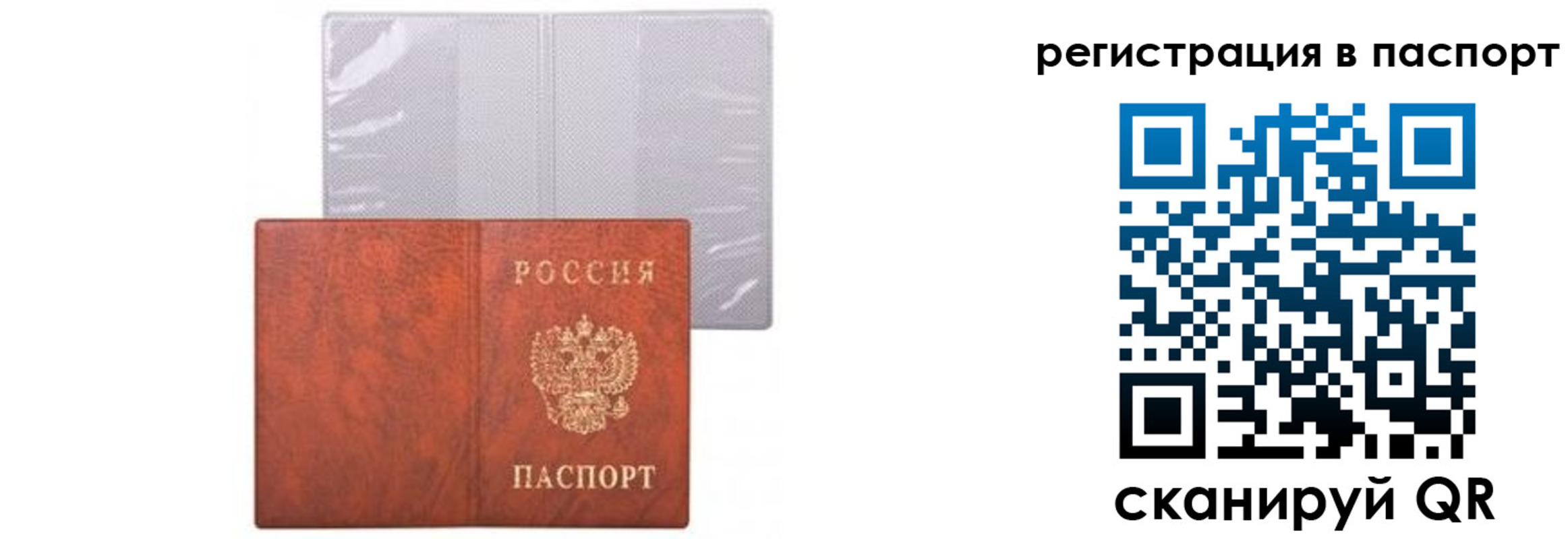 прописка ребенка в Новозыбкове
